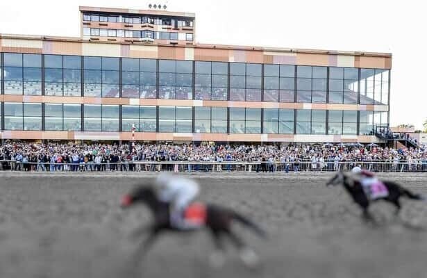 Quills Picks Winners – Monday 8/24 – Parx Race 8 parx finish