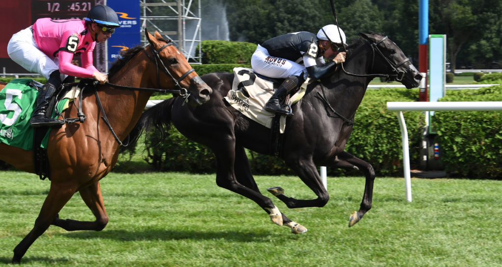 Quills Picks Winners – Thursday 8/27 – Saratoga Race 8 sar turf finish