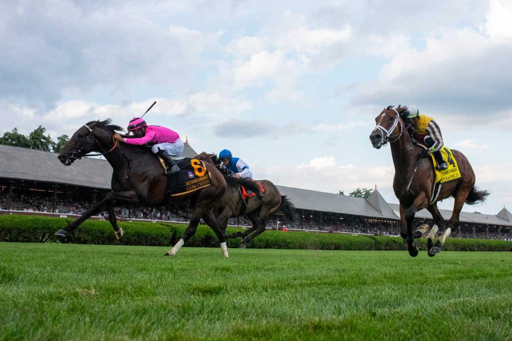 Quills Picks Winners – Thursday 8/27 – Saratoga Race 8 sar turf stretch rail