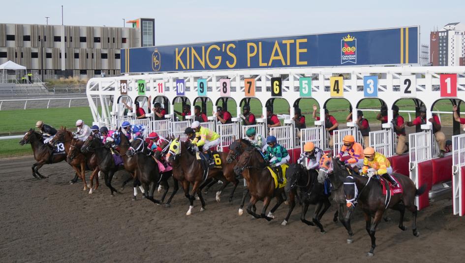 Quills Picks Winners – Saturday 8/15 – King’s Plate at Woodbine wo26 kings plate gate