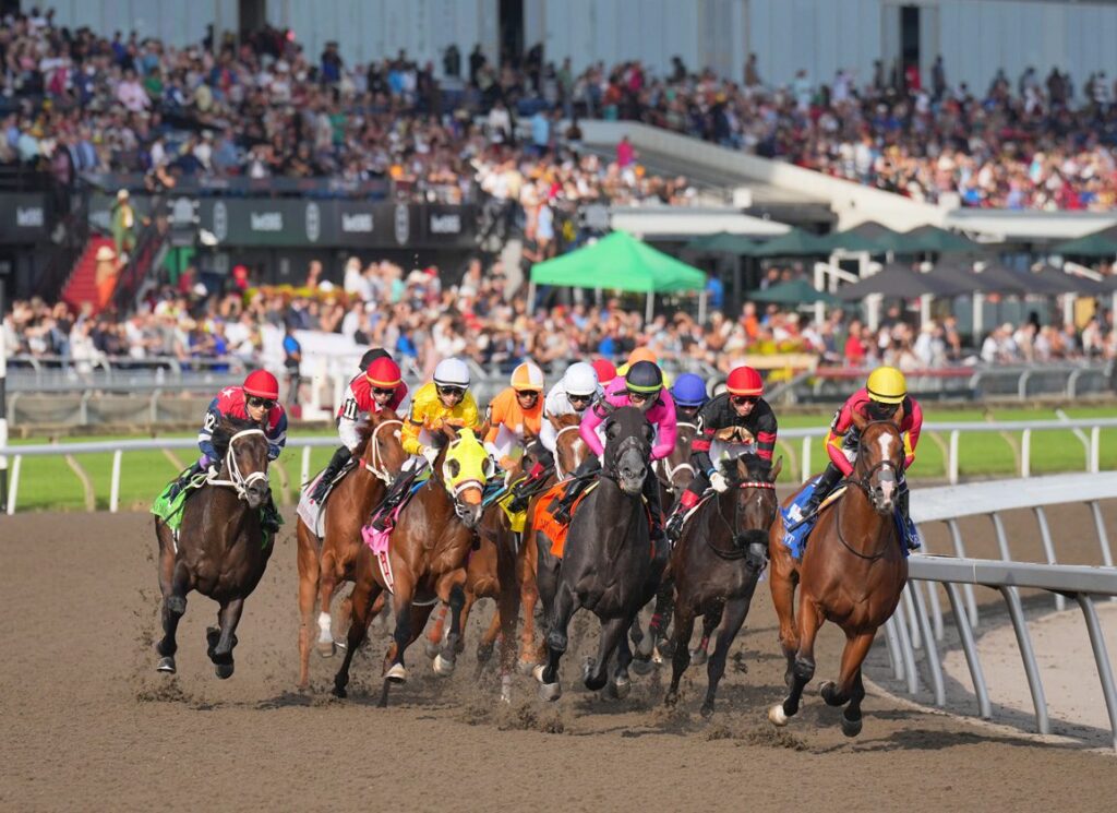 Quills Picks Winners – Saturday 8/15 – King’s Plate at Woodbine wo26 turn main