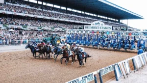 belmont stakes gate