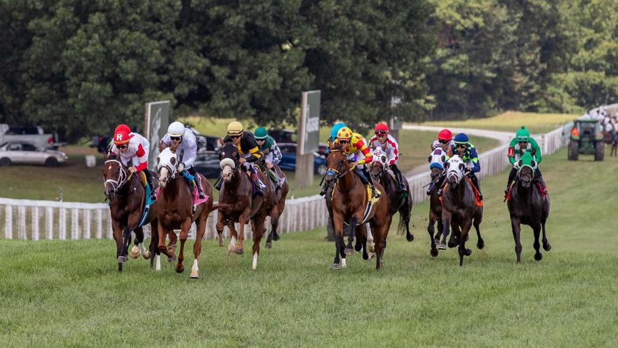 Quills Picks Winners – Saturday 9/5 – Kentucky Downs Races 6-8 kd hill