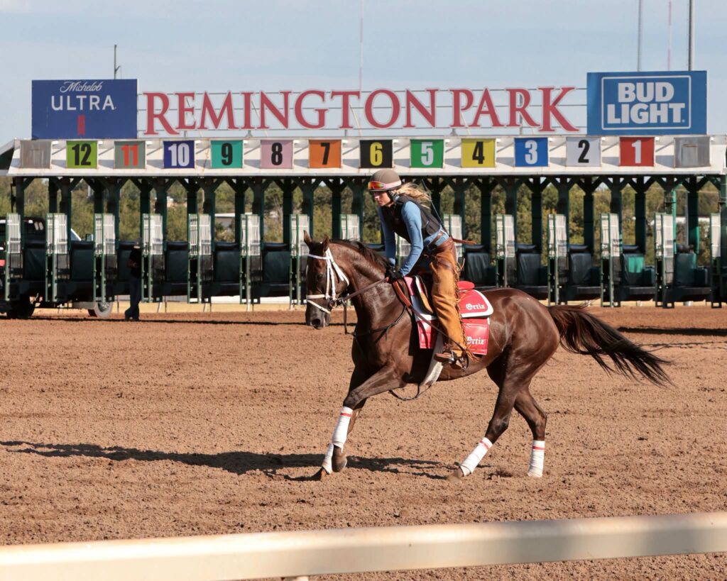 rp26 gate horse