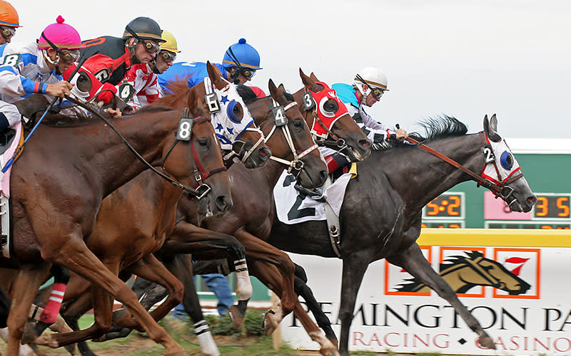 rp26 horses finish