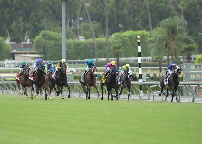 sa26 turf stretch2