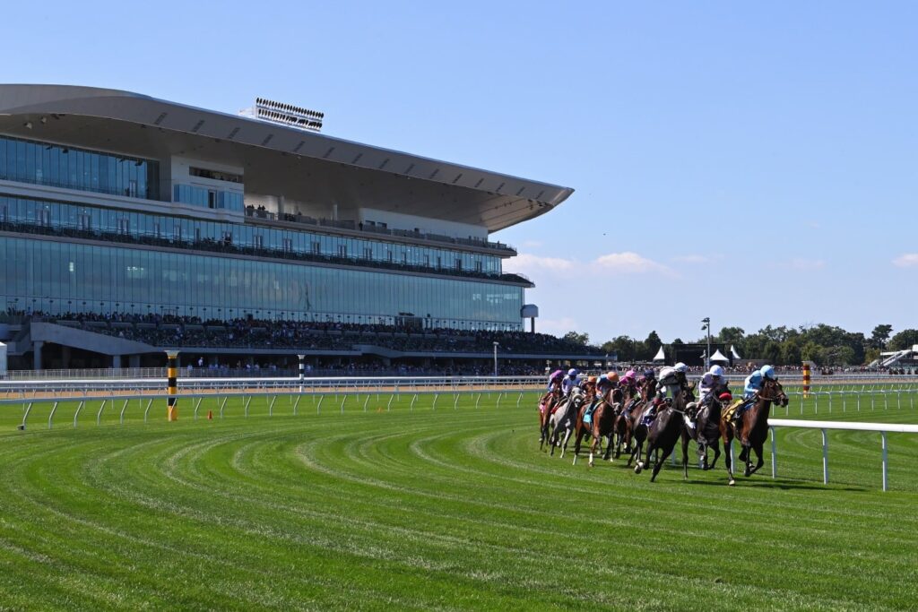 bel26 turf turn